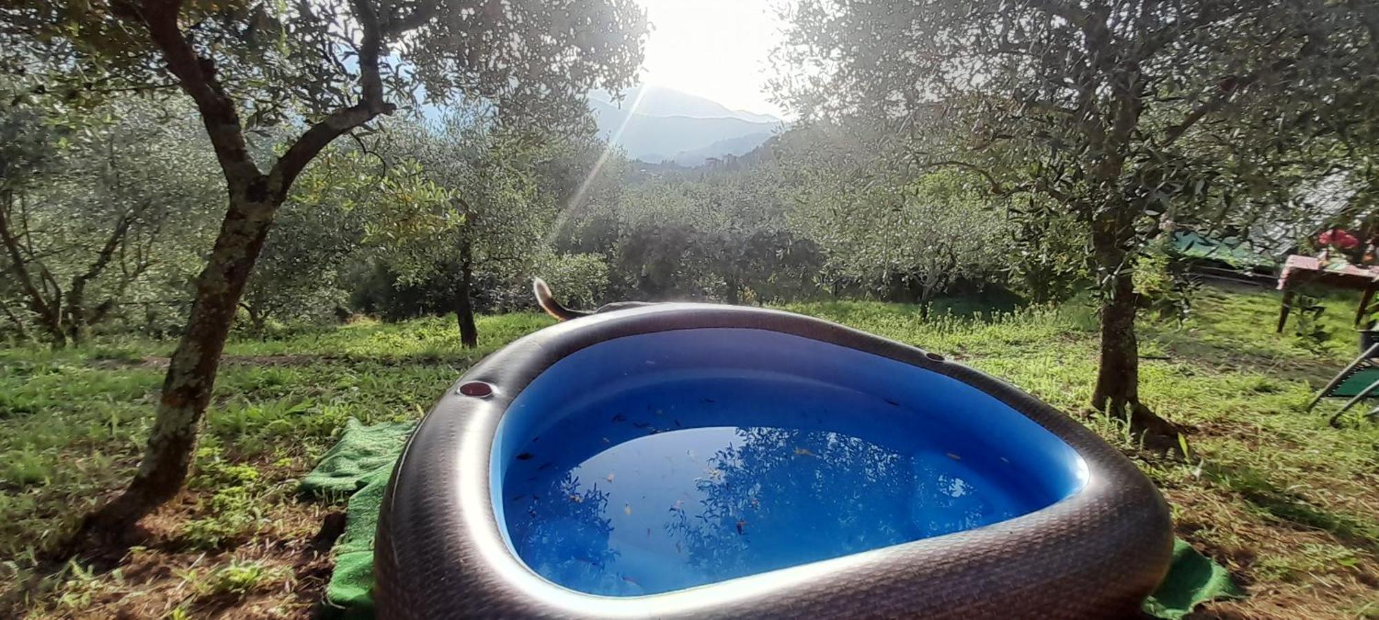 La Fatina Lodge Barga Exterior foto